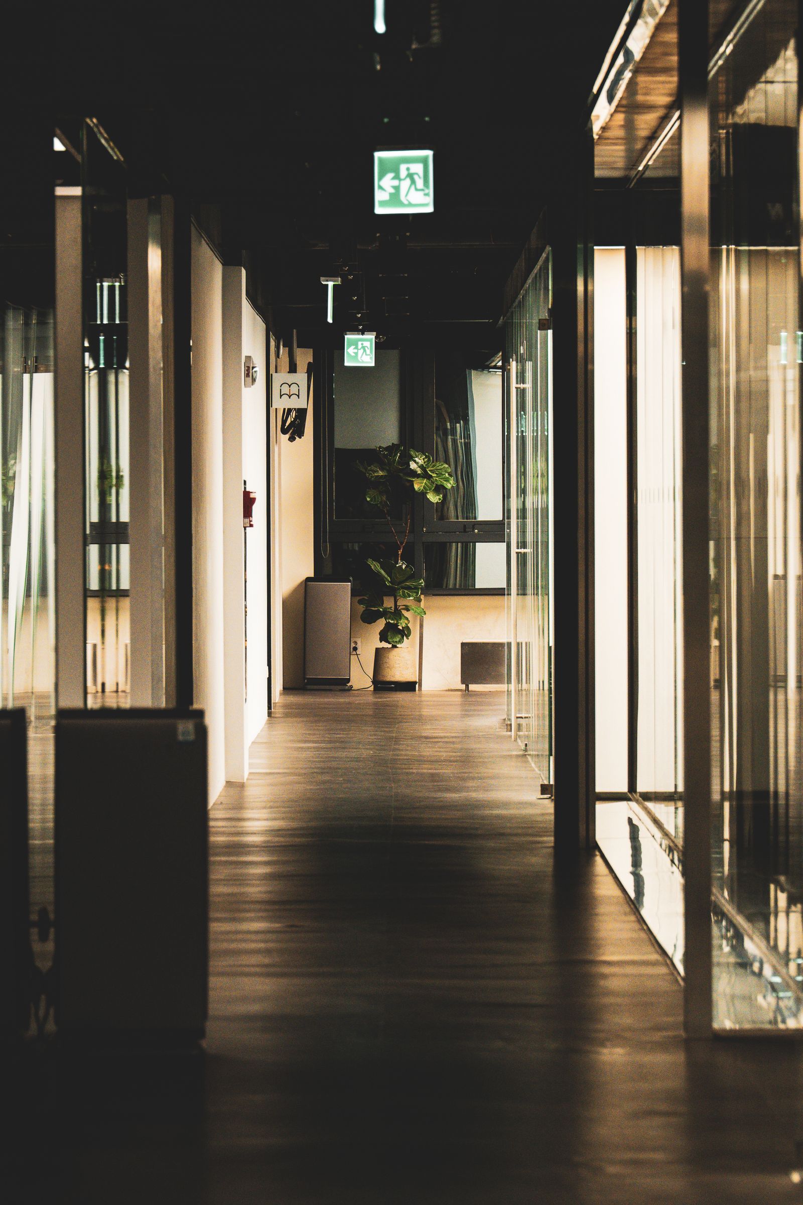 Espaço de coworking Studio Norte com luz quente e plantas